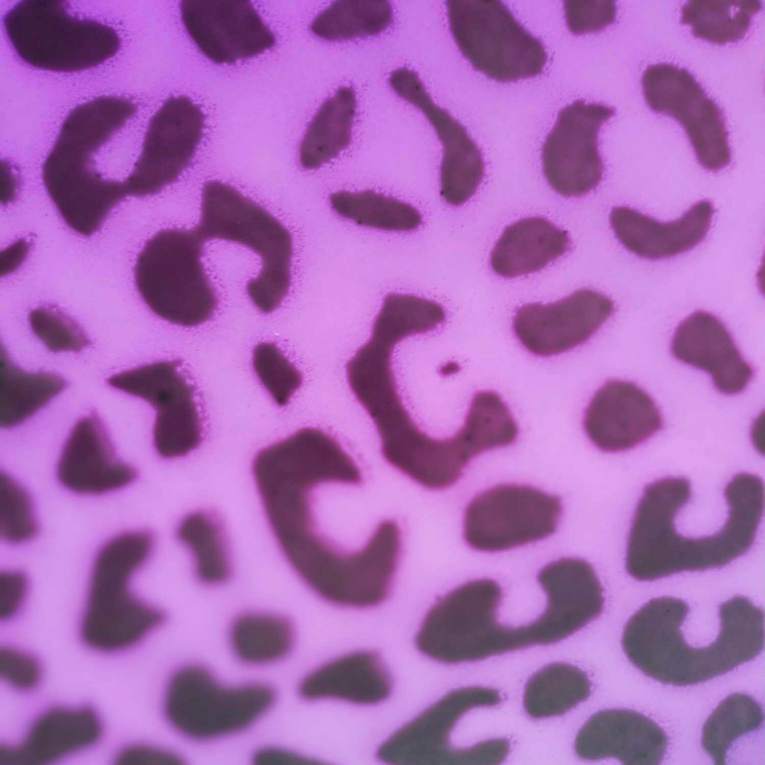 Leopard Print Ball Mitts